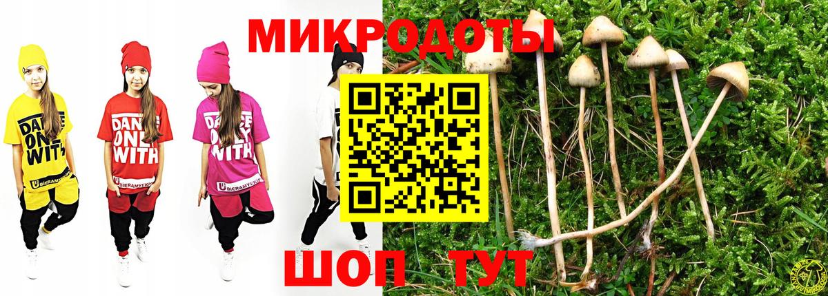 Краснодар  хочу наркоту  Вход с VPN  Псилоцибиновые грибы Psilocybine cubensis  Галлюциногенные грибы прущие грибы 