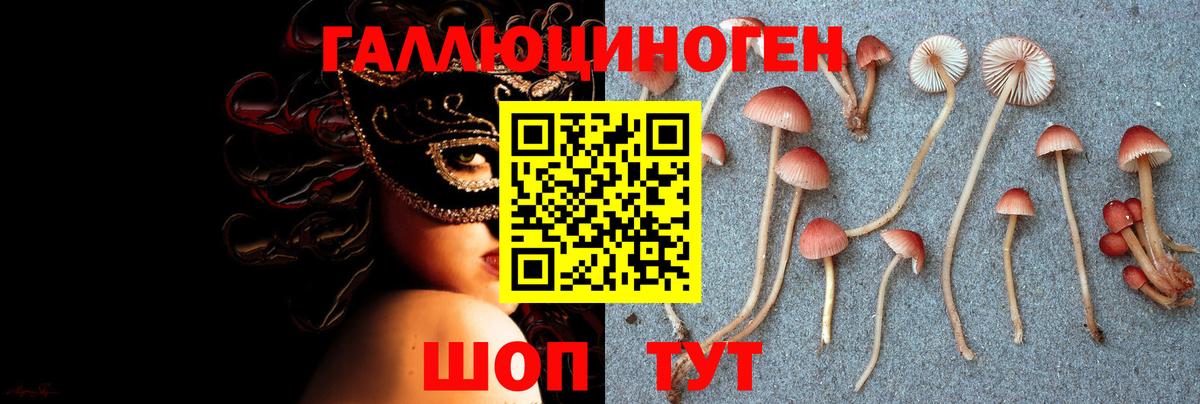 ГАШ  Экстази  Бошки Шишки  Краснодар  Меф МЯУ МЯУ кристаллы  Вход с VPN  Меф МЯУ МЯУ 