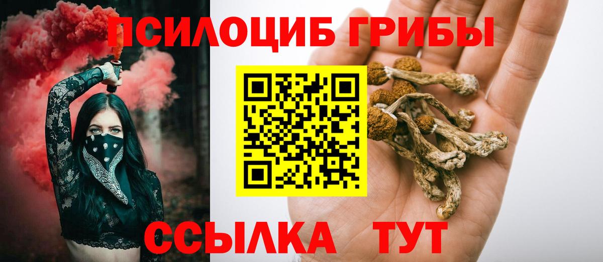 Псилоцибиновые грибы ЛСД Краснодар